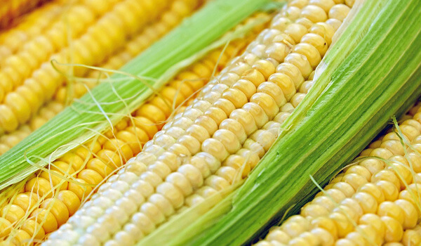 Corn